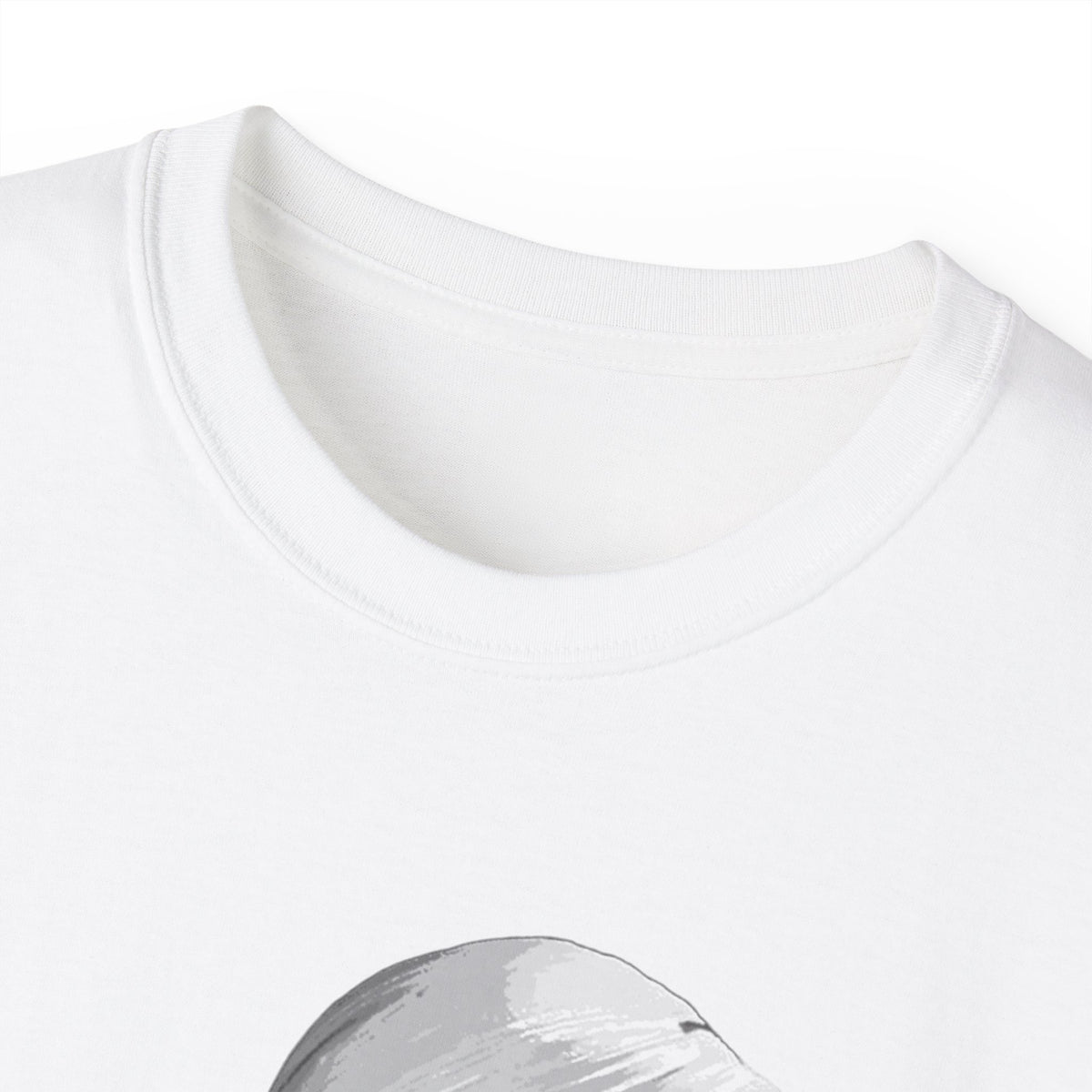 Diljit Red Aura 2026 Concert t-shirt